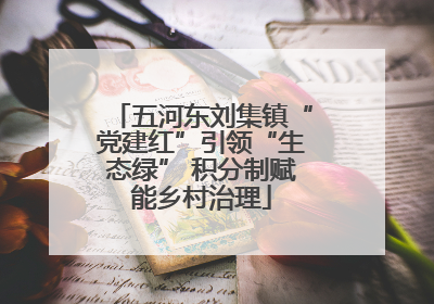 五河东刘集镇“党建红”引领“生态绿” 积分制赋能乡村治理