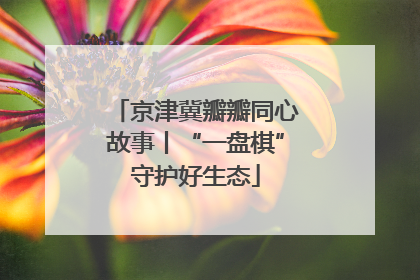 京津冀瓣瓣同心故事丨“一盘棋”守护好生态
