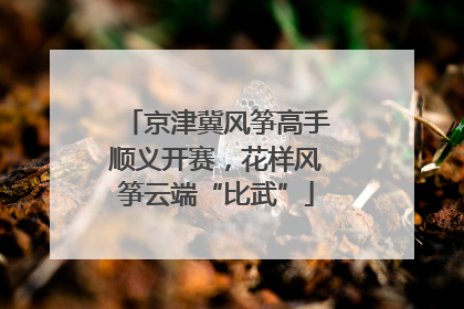 京津冀风筝高手顺义开赛，花样风筝云端“比武”