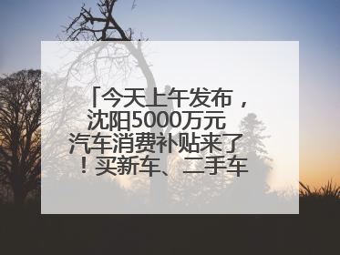 今天上午发布，沈阳5000万元汽车消费补贴来了！买新车、二手车都能领！