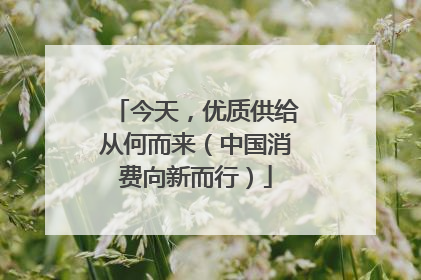 今天，优质供给从何而来（中国消费向新而行）