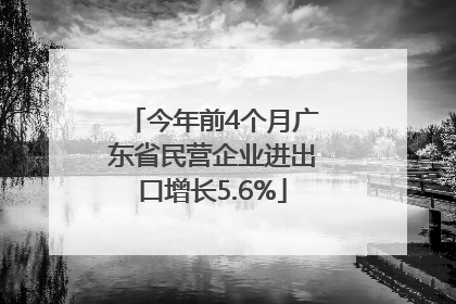 今年前4个月广东省民营企业进出口增长5.6%
