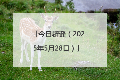 今日辟谣（2025年5月28日）