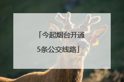 今起烟台开通5条公交线路