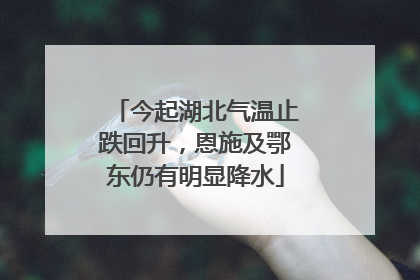 今起湖北气温止跌回升，恩施及鄂东仍有明显降水