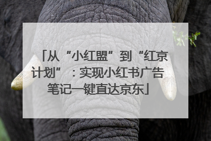 从“小红盟”到“红京计划”：实现小红书广告笔记一键直达京东
