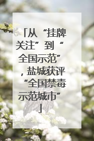 从“挂牌关注”到“全国示范”，盐城获评“全国禁毒示范城市”