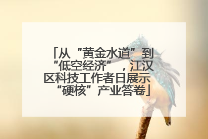 从“黄金水道”到“低空经济”，江汉区科技工作者日展示“硬核”产业答卷