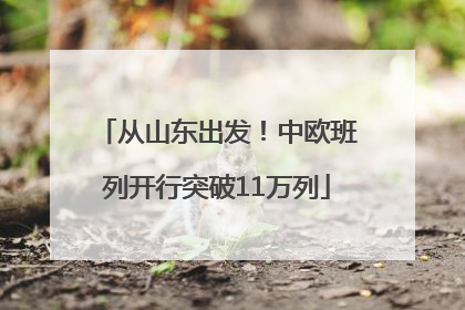 从山东出发！中欧班列开行突破11万列