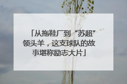 从拖鞋厂到“苏超”领头羊，这支球队的故事堪称励志大片