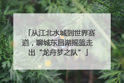 从江北水城到世界赛道，聊城东昌湖摇篮走出“龙舟梦之队”