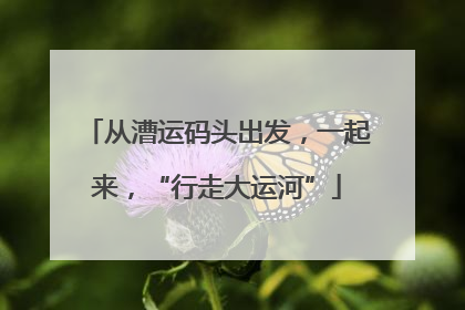 从漕运码头出发，一起来，“行走大运河”