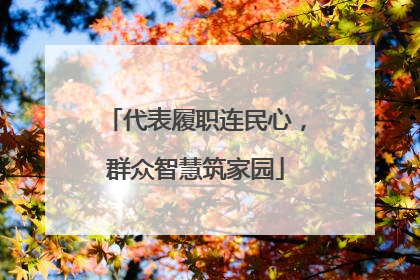 代表履职连民心，群众智慧筑家园