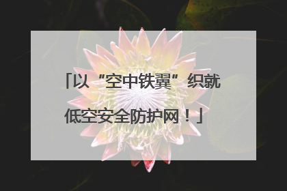 以“空中铁翼”织就低空安全防护网！
