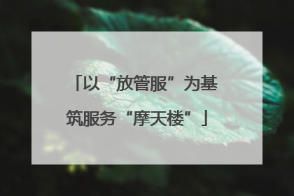 以“放管服”为基筑服务“摩天楼”