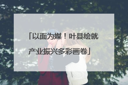 以面为媒！叶县绘就产业振兴多彩画卷