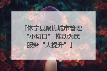 休宁县聚焦城市管理“小切口” 推动为民服务“大提升”