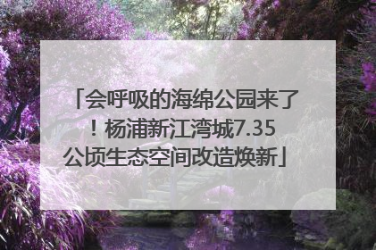 会呼吸的海绵公园来了！杨浦新江湾城7.35公顷生态空间改造焕新