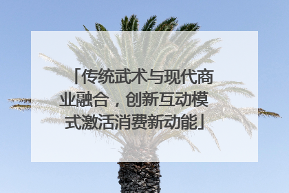 传统武术与现代商业融合，创新互动模式激活消费新动能