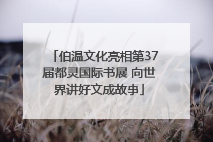 伯温文化亮相第37届都灵国际书展 向世界讲好文成故事