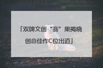 双牌文创“赛”果揭晓 创意佳作C位出道