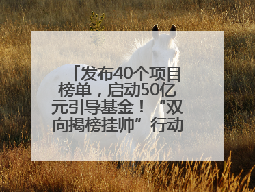 发布40个项目榜单，启动50亿元引导基金！“双向揭榜挂帅”行动成果丰硕