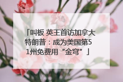 叫板 英王首访加拿大 特朗普：成为美国第51州免费用“金穹”