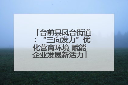 台前县凤台街道：“三向发力”优化营商环境 赋能企业发展新活力