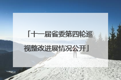 十一届省委第四轮巡视整改进展情况公开