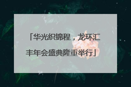 华光织锦程，龙环汇丰年会盛典隆重举行