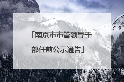 南京市市管领导干部任前公示通告