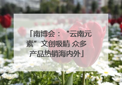 南博会：“云南元素”文创吸睛 众多产品热销海内外