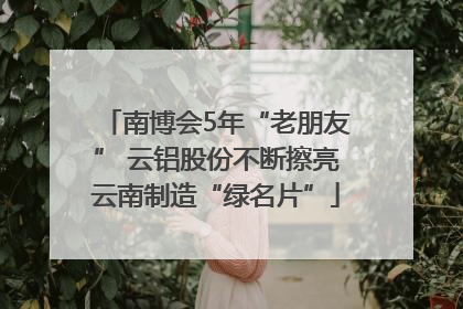 南博会5年“老朋友” 云铝股份不断擦亮云南制造“绿名片”