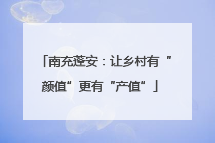 南充蓬安：让乡村有“颜值”更有“产值”