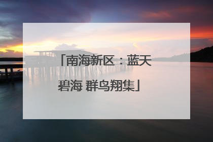 南海新区：蓝天碧海 群鸟翔集