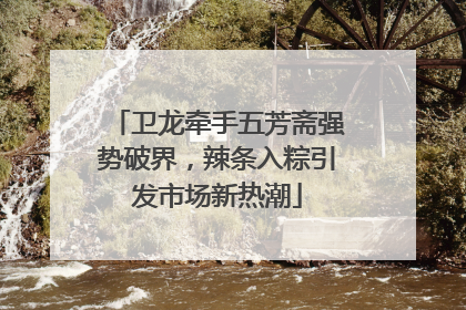 卫龙牵手五芳斋强势破界，辣条入粽引发市场新热潮