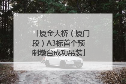 厦金大桥（厦门段）A3标首个预制墩台成功吊装