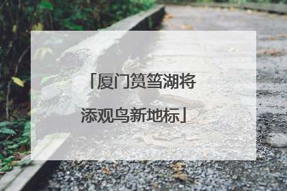 厦门筼筜湖将添观鸟新地标