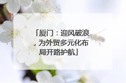 厦门：迎风破浪，为外贸多元化布局开路护航