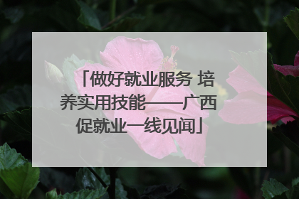 做好就业服务 培养实用技能——广西促就业一线见闻
