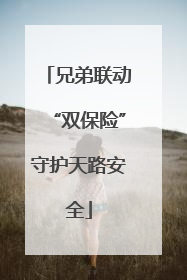 兄弟联动“双保险”守护天路安全
