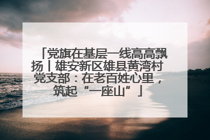 党旗在基层一线高高飘扬丨雄安新区雄县黄湾村党支部：在老百姓心里，筑起“一座山”