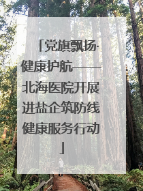 党旗飘扬·健康护航——北海医院开展进盐企筑防线健康服务行动