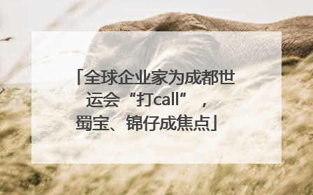 全球企业家为成都世运会“打call”，蜀宝、锦仔成焦点