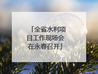 全省水利项目工作现场会在永春召开
