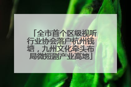 全市首个区级视听行业协会落户杭州钱塘，九州文化牵头布局微短剧产业高地