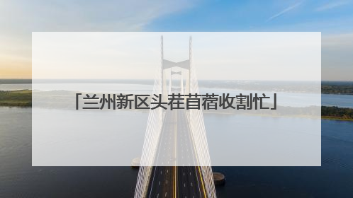 兰州新区头茬苜蓿收割忙