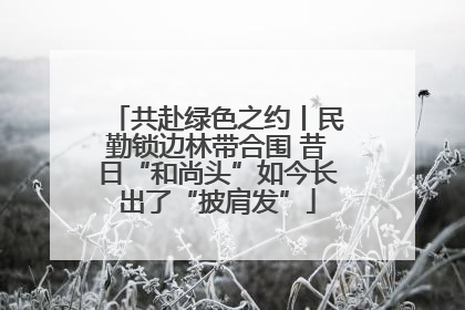 共赴绿色之约丨民勤锁边林带合围 昔日“和尚头”如今长出了“披肩发”