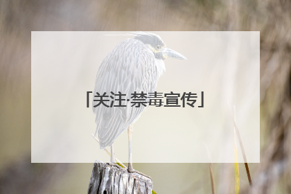 关注·禁毒宣传