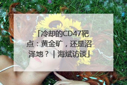 冷却的CD47靶点：黄金矿，还是沼泽地？｜海斌访谈